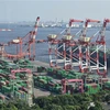 Container hàng hóa được bốc dỡ tại cảng quốc tế Tokyo, Nhật Bản. (Nguồn: AFP/TTXVN)