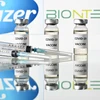 Vắcxin ngừa COVID-19 Pfizer/BioNTech. (Ảnh: AFP/TTXVN)