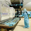 Nhân viên làm công tác khử khuẩn các lô hàng gồm 117.600 liều vắcxin phòng COVID-19 đầu tiên về Việt Nam. (Ảnh: PV/Vietnam+)