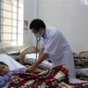 Bác sỹ khoa Cấp cứu chống độc, Bệnh viện đa khoa tỉnh Hà Tĩnh thăm khám cho bệnh nhân. (Ảnh: TTXVN phát)