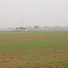 Đồng ruộng tại xã Phú Xuân, huyện Bình Xuyên, tỉnh Vĩnh Phúc rộng hàng trăm ha, phần lớn bị được bỏ hoang. (Ảnh: Nguyễn Trọng Lịch/TTXVN)