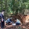 Hố chôn 138 con lợn chết trong rừng cao su. (Ảnh: B.A)