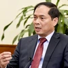 Tân Bộ trưởng Bộ Ngoại giao Bùi Thanh Sơn. (Nguồn: TTXVN)