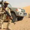 Lực lượng an ninh Chad tham gia một cuộc diễn tập. (Ảnh: Army photo/TTXVN)