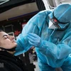 Nhân viên y tế lấy mẫu xét nghiệm COVID-19 cho người dân tại Berlin, Đức. (Ảnh: AFP/TTXVN)