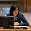 Phó Trưởng phái đoàn Việt Nam tại Liên hợp quốc Nguyễn Phương Trà tại phiên họp. (Ảnh: Khắc Hiếu/TTXVN)