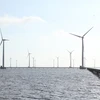 Một dự án điện gió ở Bạc Liêu. (Nguồn: TTXVN)