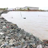 Đê biển Tây ở Cà Mau bị sạt lở nghiêm trọng. (Ảnh: Huỳnh Anh/TTXVN)