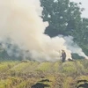 Người dân đốt rơm rạ sau khi thu hoạch gây ra khói bụi. (Nguồn: TTXVN)