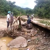 Nhiều tuyến đường trên địa bàn huyện Kỳ Sơn, tỉnh Nghệ An bị sạt lở nghiêm trọng vì mưa lớn. (Ảnh: TTXVN phát)