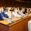 Đại biểu Quốc hội tỉnh Hưng Yên biểu quyết thông qua Nghị quyết về chủ trương đầu tư Chương trình mục tiêu quốc gia xây dựng nông thôn mới giai đoạn 2021-2025. (Ảnh: Phạm Kiên/TTXVN)