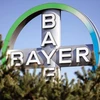 Tập đoàn Bayer ghi nhận khoản lỗ ròng lên tới 2,3 tỷ euro. (Nguồn: DW)