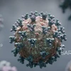 Biến thể Lambda của virus SARS-CoV-2 nguy hiểm như thế nào?