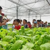 Các em học sinh tham gia trải nghiệm tại khu du lịch Hải Đăng, Thanh Trì. (Nguồn: Kinhtedothi.vn)