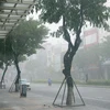 Mưa lớn xảy ra trên địa bàn thành phố Đà Nẵng do bão số 5 gây ra. (Ảnh: Trần Lê Lâm/TTXVN)