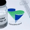 Vaccine phòng COVID-19 của hãng dược phẩm Trung Quốc Sinopharm. (Ảnh: AFP/TTXVN)
