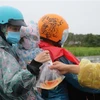 Một gia đình từ tỉnh Bình Dương được hỗ trợ phần cơm và trái cây miễn phí khi lưu thông qua tỉnh Phú Yên. (Ảnh: Phạm Cường/TTXVN)