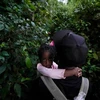 Trẻ em di cư vượt biên giới giữa Colombia và Panama qua rừng nhiệt đới Darien. (Nguồn: AP)