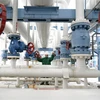 Công nhân kiểm tra định kỳ hệ thống đường ống dẫn khí đốt tại trung tâm kiểm soát khí tự nhiên ở Hajduszoboszlo, cách Budapest (Hungary) hơn 200km về phía Đông. (Ảnh: AFP/TTXVN)