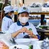 Các tình nguyện viên của Bếp ăn từ thiện Phú Long (huyện Nhà Bè, TP.HCM) chuẩn bị các xuất ăn phát cho người dân khó khăn. (Ảnh: Hồng Giang/TTXVN)