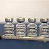 Vaccine ngừa COVID-19 của hãng dược phẩm Pfizer/BioNTech. (Ảnh: AFP/TTXVN)