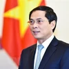Bộ trưởng Bộ Ngoại giao Bùi Thanh Sơn. (Nguồn: TTXVN)
