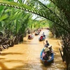 Du khách tham quan vườn dừa ở Bến Tre. (Nguồn: Hanoimoi.com.vn)