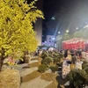 Người dân Thành phố Hồ Chí Minh chụp ảnh lưu niệm bên tiểu cảnh mùa Xuân tại Lễ hội Tết Việt lần 3 năm 2022. (Ảnh minh họa: Mỹ Phương/TTXVN