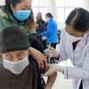 Tiêm vaccine phòng COVID-19 cho người già tại Móng Cái, Quảng Ninh (Ảnh: TTXVN phát)