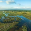 Công viên quốc gia Everglades ở Florida, Mỹ. (Nguồn: Britannica.com)