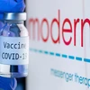 Vaccine ngừa COVID-19 bên cạnh biểu tượng của Công ty dược Moderna. (Ảnh: AFP/TTXVN)