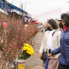 Người dân đi chợ hoa Xuân. (Ảnh: Minh Sơn/Vietnam+)