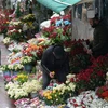 Người dân ngắm hoa tại chợ hoa ở Ankara, Thổ Nhĩ Kỳ, trong ngày lễ Tình nhân 14/2. (Ảnh: THX/TTXVN)