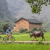 Khách du lịch nước ngoài thăm một vùng quê ở Trung Quốc. (Nguồn: China Daily)