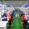 Hoạt động sản xuất đầu năm tại Công ty trách nhiệm hữu hạn Apparel Far Eastern (Việt Nam) đóng Khu công nghiệp Việt Nam - Singapore, thành phố Thuận An, tỉnh Bình Dương. (Ảnh: TTXVN phát)