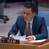 Đại sứ Đặng Hoàng Giang, Trưởng Phái đoàn thường trực Việt Nam tại Liên hợp quốc. (Nguồn: TTXVN)