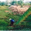 Bãi đất nông nghiệp nguyên vẹn được chụp thời điểm 2004, trước khi người dân thuê thầu vào năm 2005 (nay là hồ và nhà hàng Xuân Quế). (Ảnh: TTXVN phát)