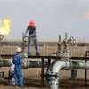 Một cơ sở lọc dầu tại Nasiriyah (Iraq). (Ảnh: AFP/TTXVN)