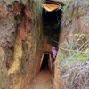 Một trong 5 căn hầm được các đối tượng đào vào lòng núi để khai thác quặng thiếc trái phép. (Ảnh TTXVN phát)