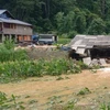 Hoa màu, chuồng trại chăn nuôi của người dân thị trấn Thanh Nhật, huyện Hạ Lang, tỉnh Cao Bằng bị lũ tràn qua gây hư hại. (Ảnh: TTXVN phát)