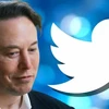 Tỷ phú Elon Musk và biểu tượng Twitter. (Ảnh: Finnews24/TTXVN)