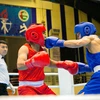 Một trận thi đấu boxing tại SEA Games 31. (Nguồn: TTXVN)