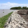 Xây dựng kè chống sạt lở bờ biển trên địa bàn thành phố Rạch Giá, tỉnh Kiên Giang. (Ảnh: Lê Huy Hải/TTXVN)