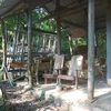 Lán trại xây dựng trái phép trên Bán đảo Sơn Trà được cơ quan chức năng yêu cầu tháo dỡ. (Ảnh: TTXVN phát)