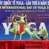 Tiết mục Yoga đồng đội do các vận động viên đoạt huy chương Vàng Giải vô địch Yoga quốc gia thực hiện. (Ảnh: Trung Kiên/TTXVN)