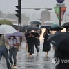 Nhiều khu vực ở Hàn Quốc ghi nhận mưa lớn trong đêm. (Nguồn: Yonhap)