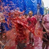 Người dân và du khách vui chơi trong lễ hội ném cà chua ở Bunol. (Nguồn: AFP/TTXVN)