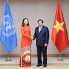 Thủ tướng Phạm Minh Chính tiếp bà Pauline Tamesis, Điều phối viên thường trú của Liên hợp quốc tại Việt Nam. (Ảnh: Dương Giang/TTXVN)