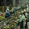 Công nhân Nhà máy xử lý chất thải rắn phân loại rác. (Ảnh: Minh Đức/TTXVN)