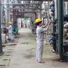 Vận hành dây chuyền điện phân sản xuất xút tại Công ty Cổ phần Hóa chất Việt Trì. (Nguồn: Tietkiemnangluong.com.vn)